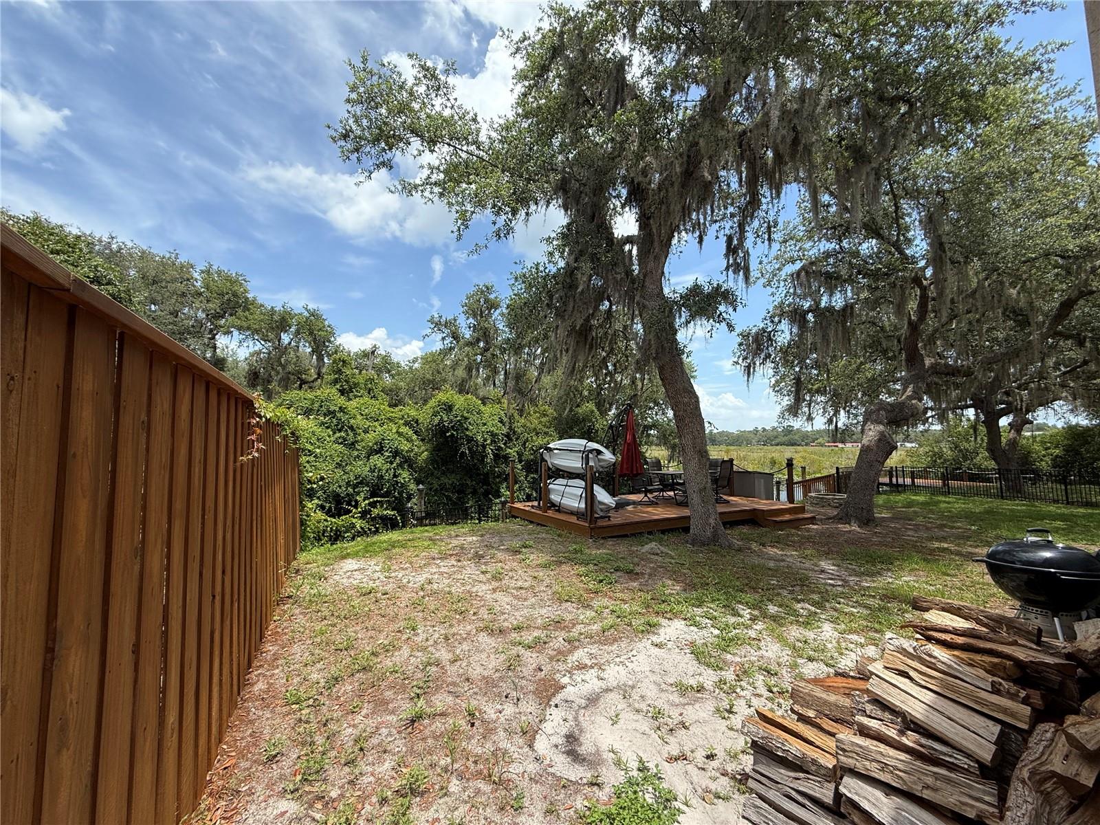 24907 NE 135TH ST, SALT SPRINGS, FL, 32134