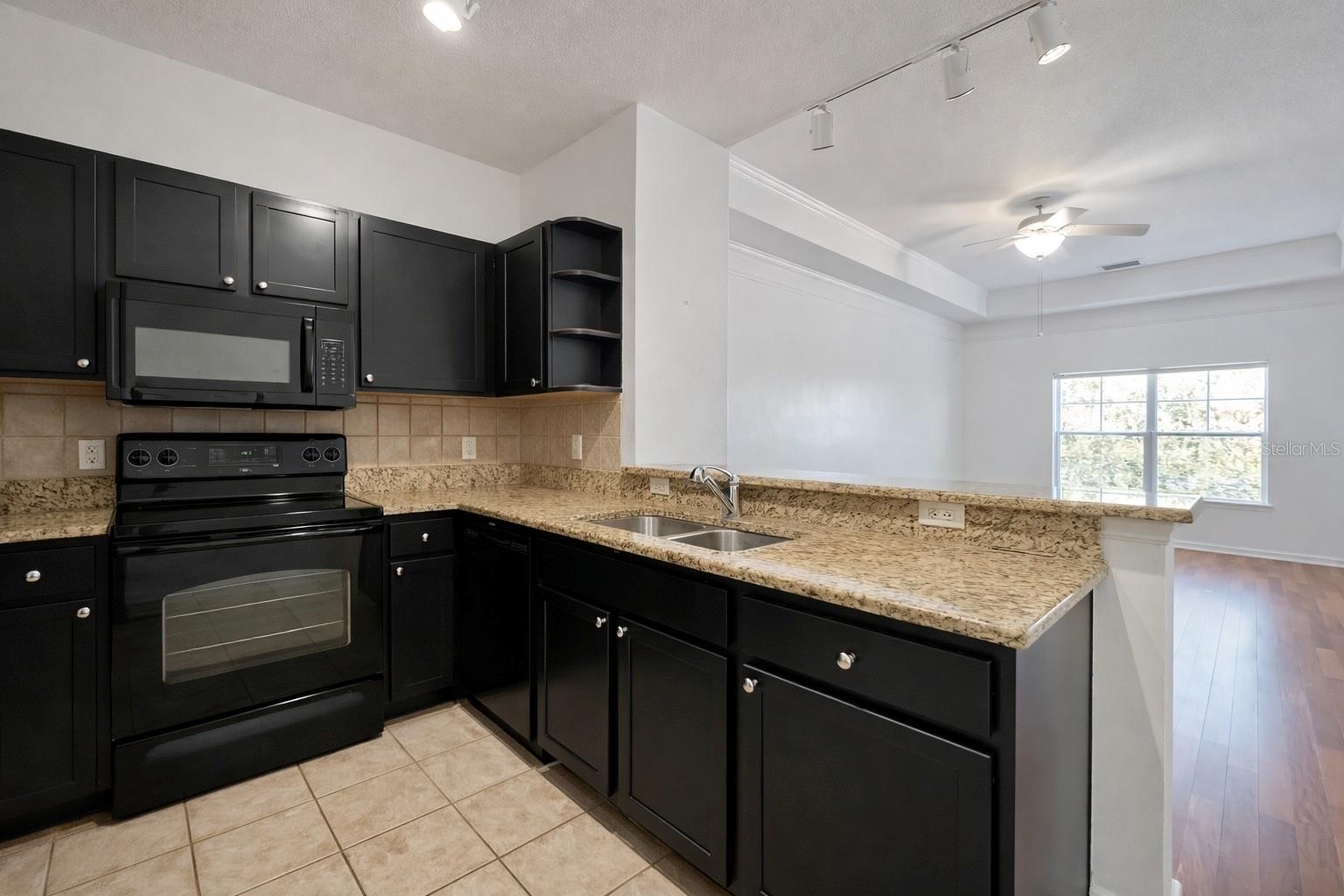 4207 S DALE MABRY HWY #6410, TAMPA, FL, 33611