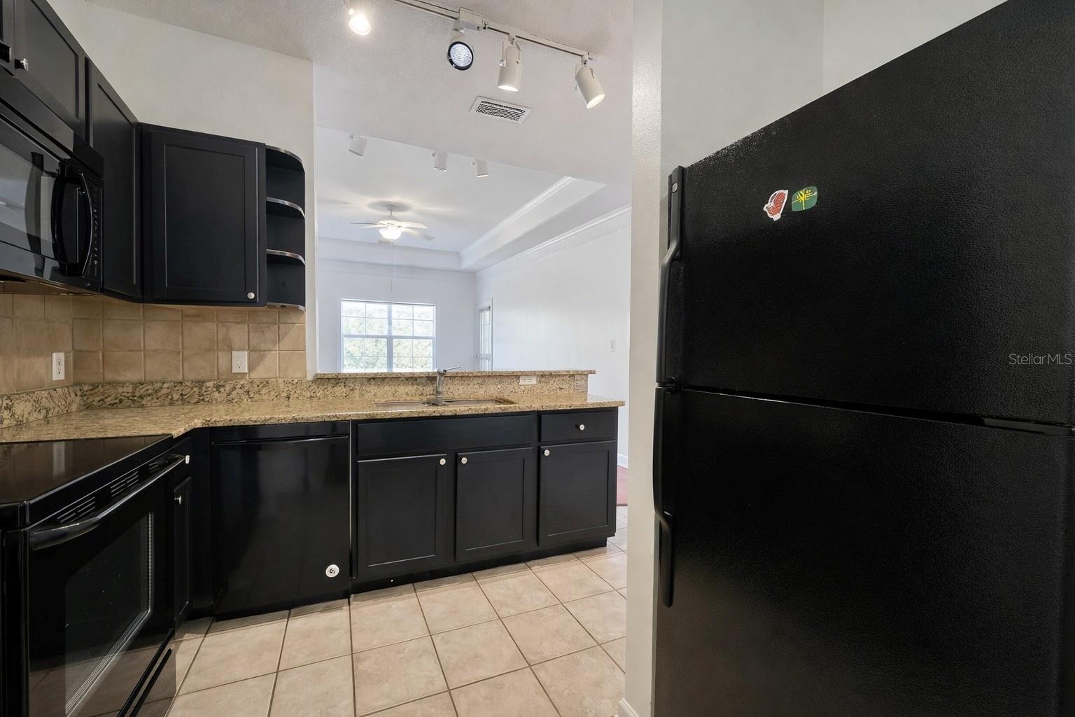 4207 S DALE MABRY HWY #6410, TAMPA, FL, 33611