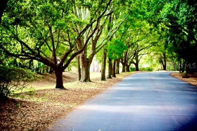 233 CROWN OAKS WAY #233, LONGWOOD, FL, 32779