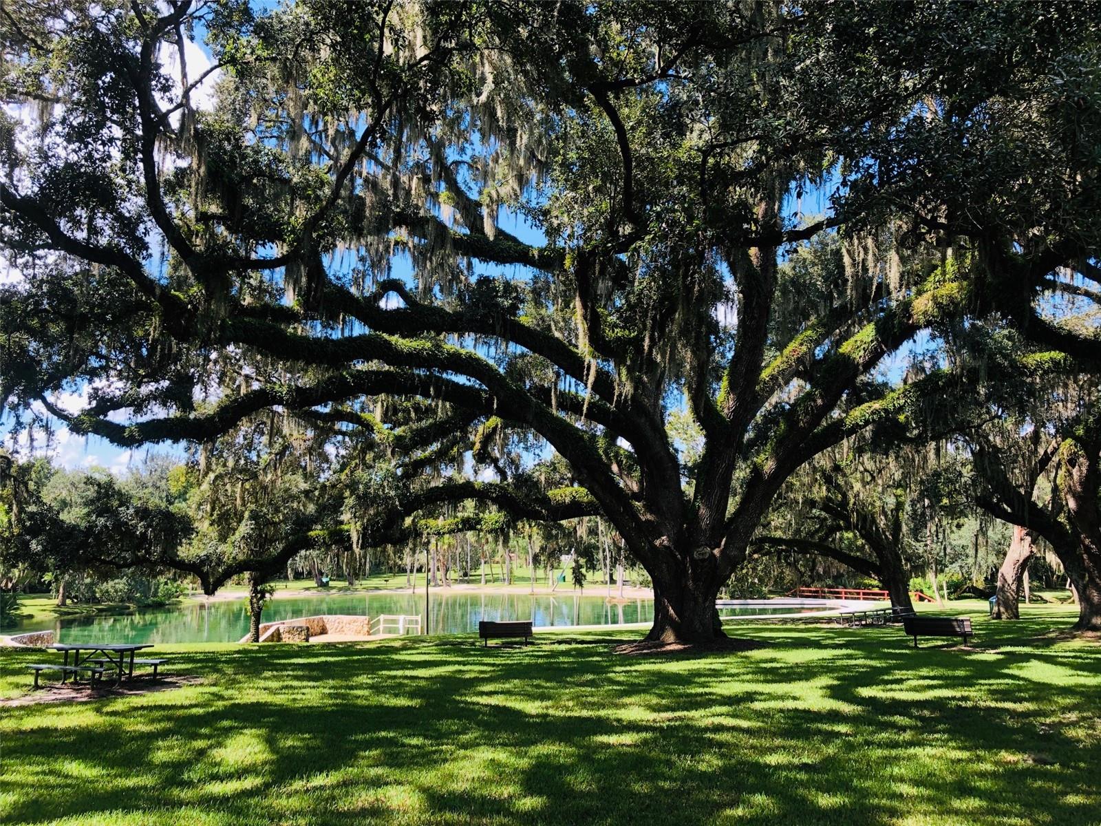 233 CROWN OAKS WAY #233, LONGWOOD, FL, 32779