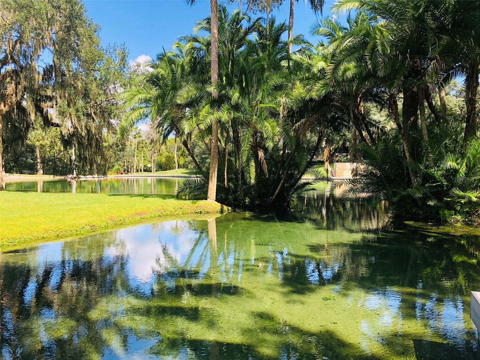 233 CROWN OAKS WAY #233, LONGWOOD, FL, 32779