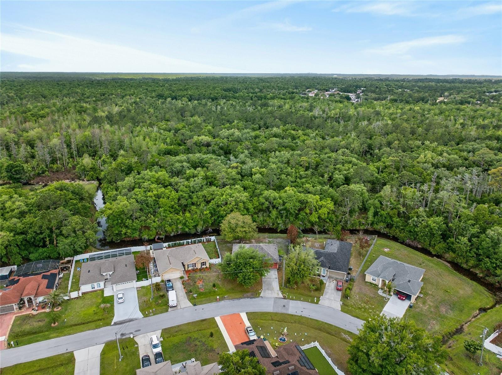 439 MAGPIE CT, KISSIMMEE, FL, 34759