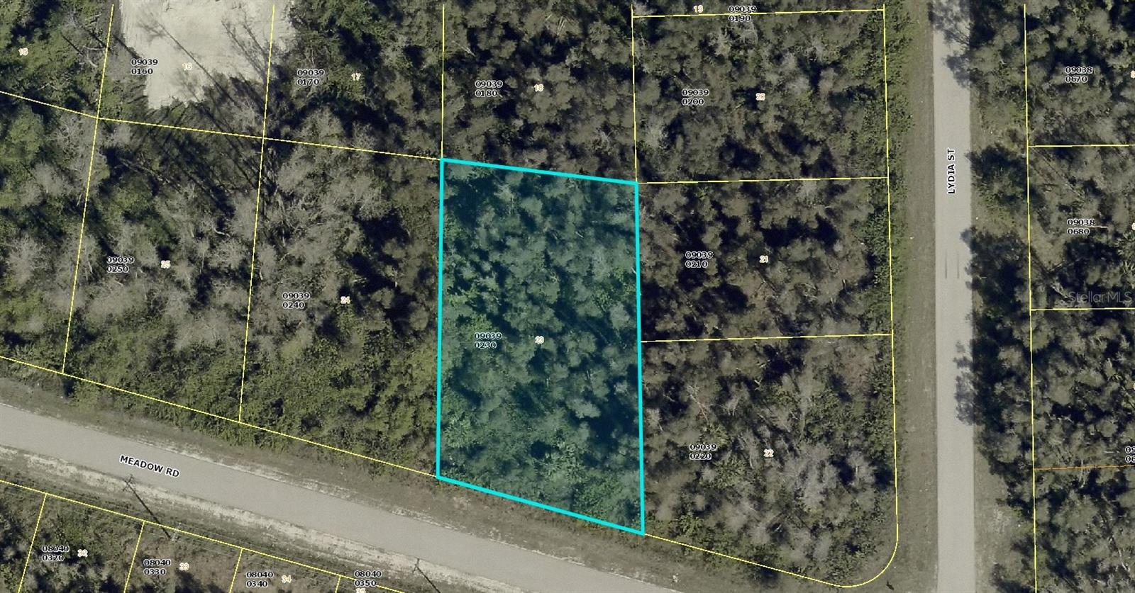 2771 MEADOW RD, LEHIGH ACRES, FL, 33974