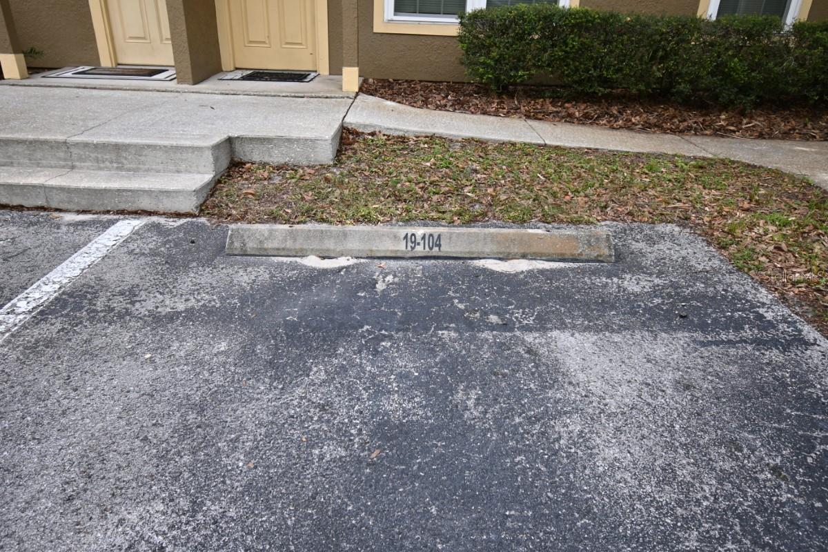 36009 DEER CREEK DR #104, ZEPHYRHILLS, FL, 33541