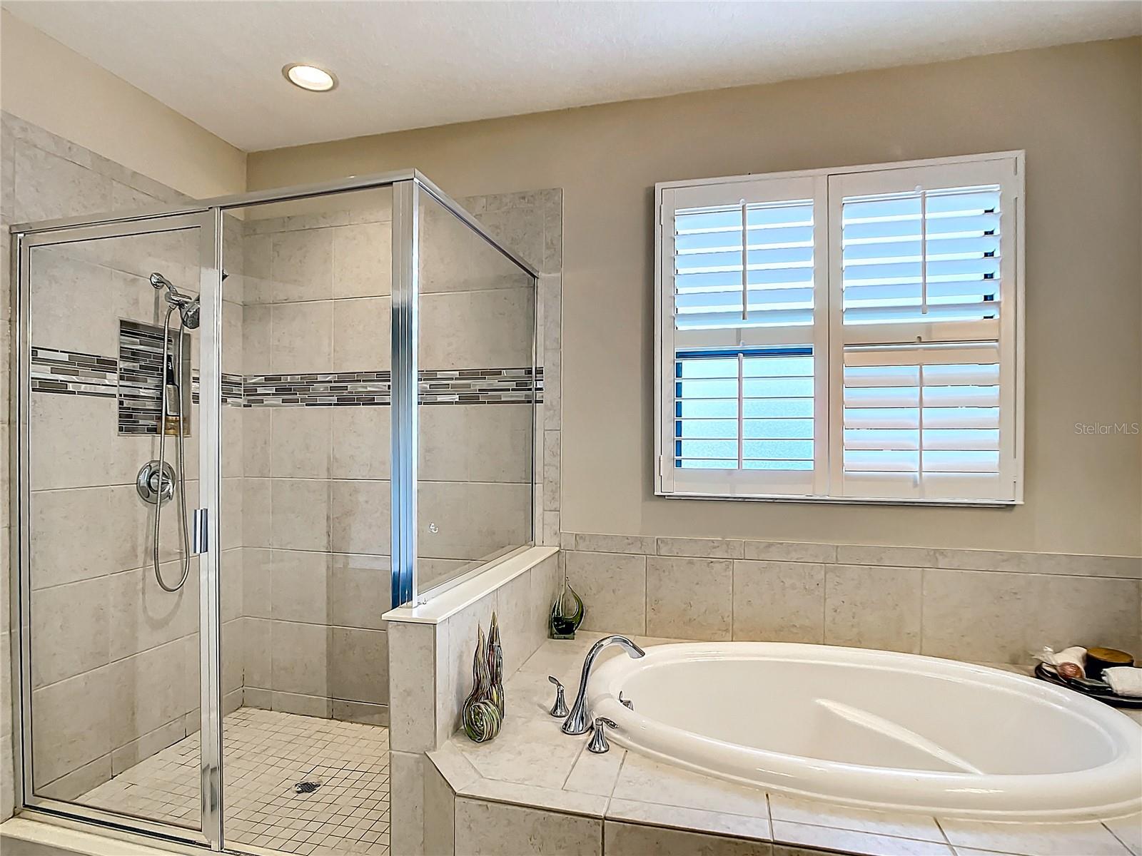 Master bath soaking tub and enclosed shower