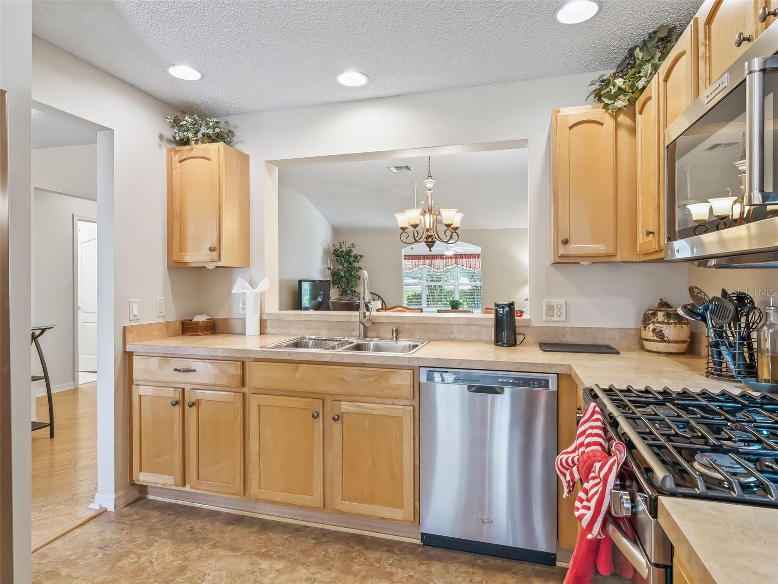 17325 SE 91ST LEE AVE, THE VILLAGES, FL, 32162