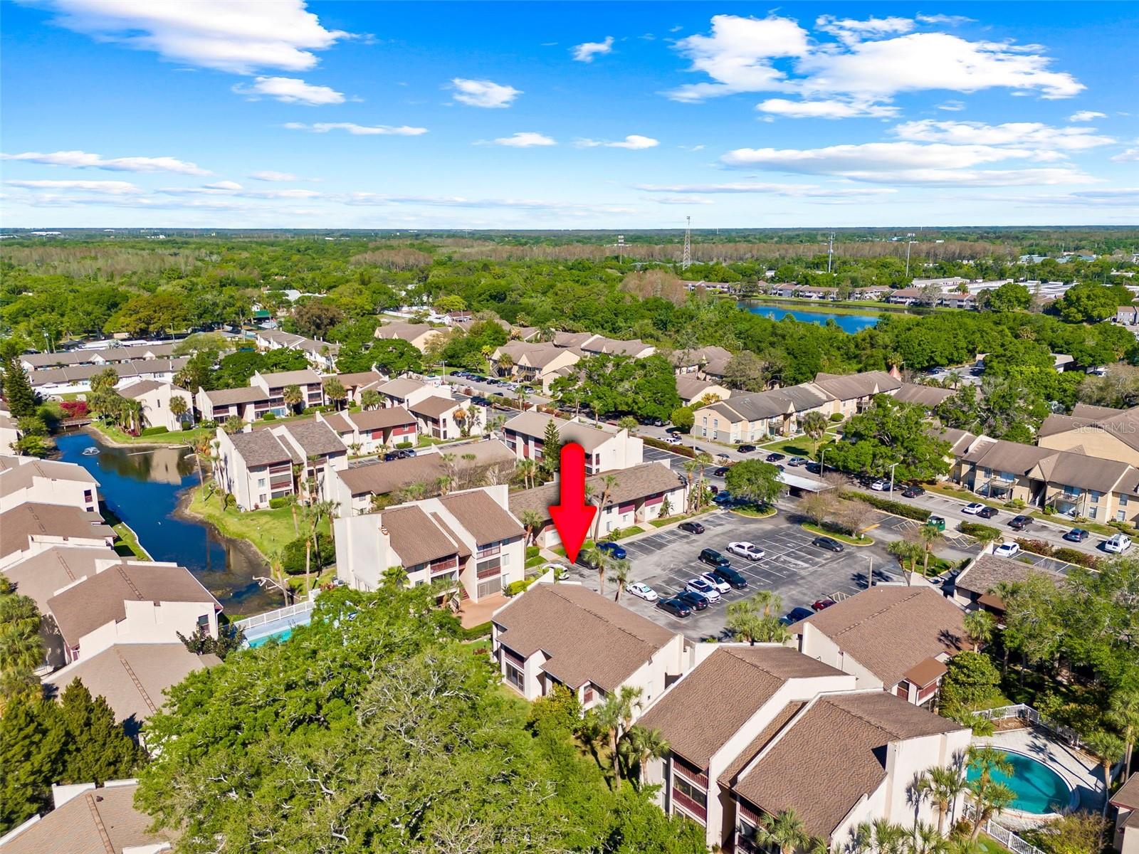 8601 HURON CT #44, TAMPA, FL, 33614
