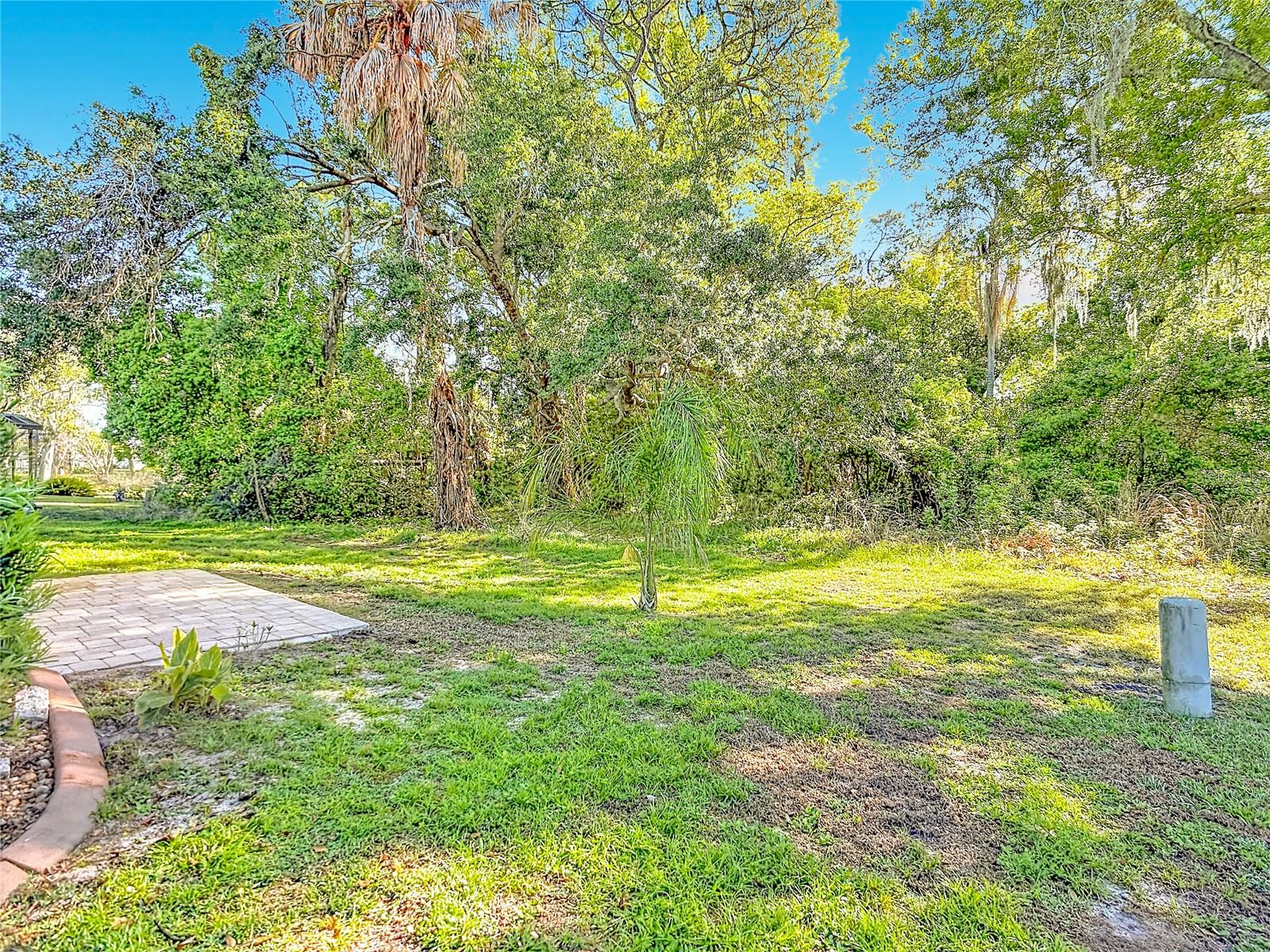 6561 CHINABERRY DR NE, WINTER HAVEN, FL, 33881