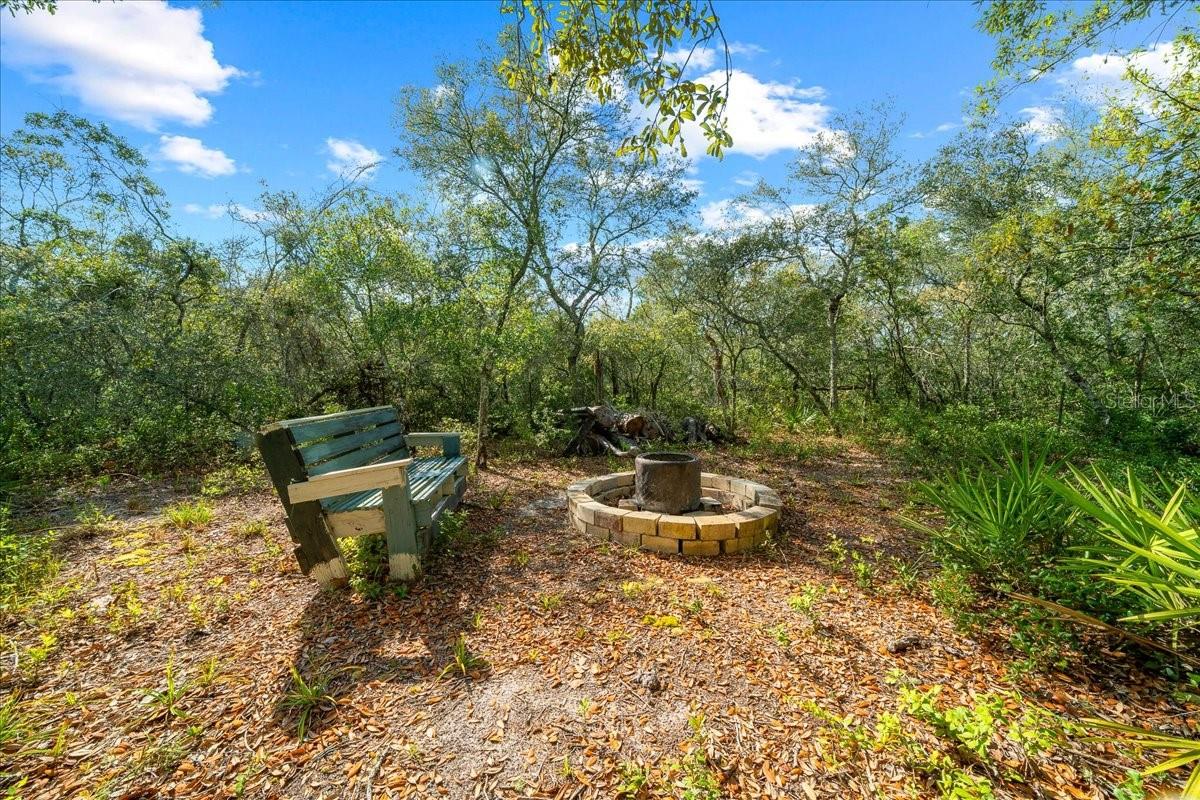 15605 NE 236TH ST, FORT MC COY, FL, 32134