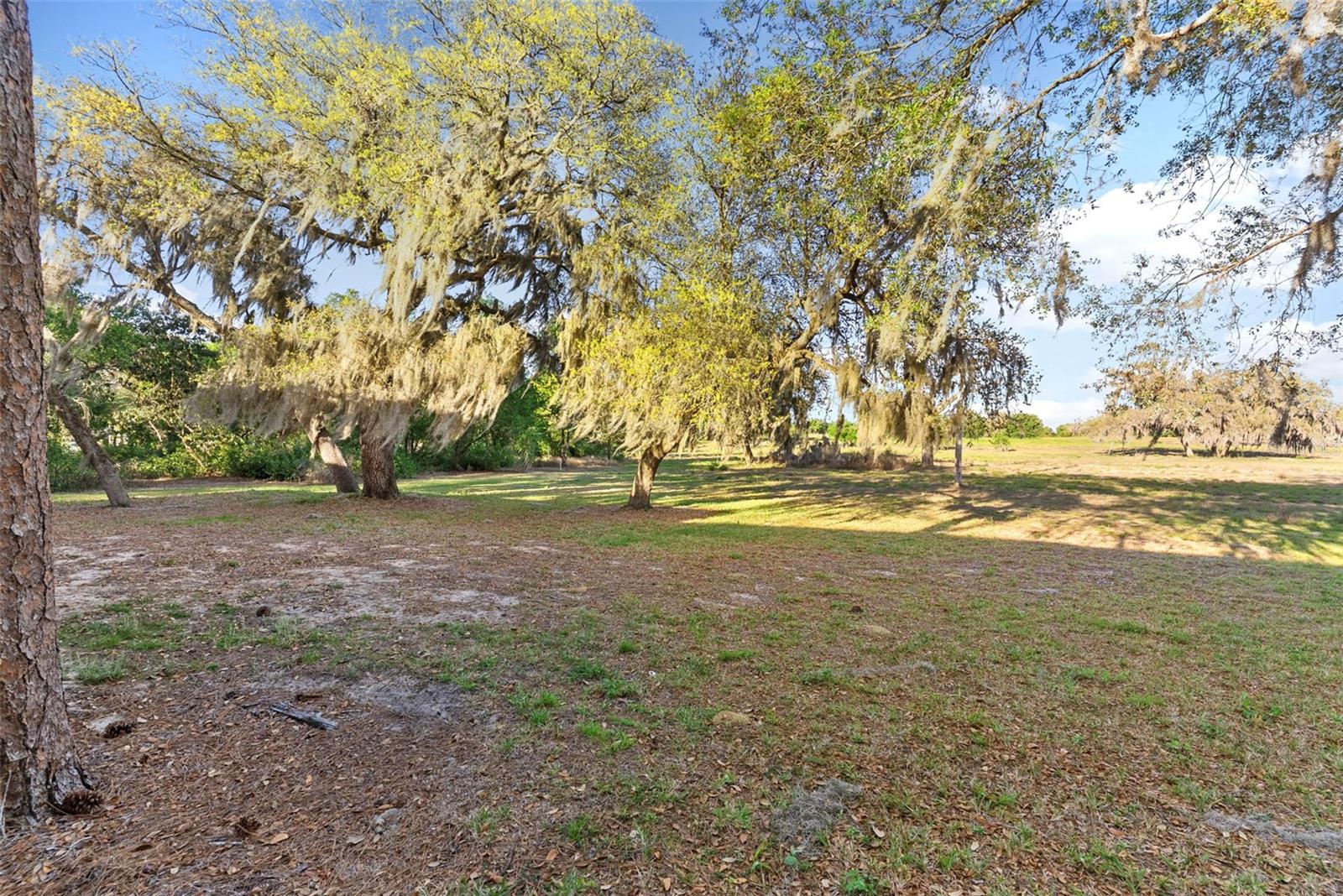 567 MAPLE LEAF CT #567, HAINES CITY, FL, 33844
