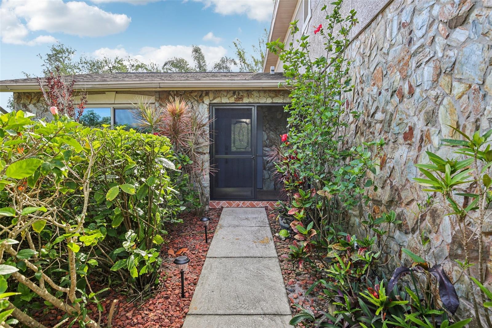 2589 KNOLL ST W, PALM HARBOR, FL, 34683