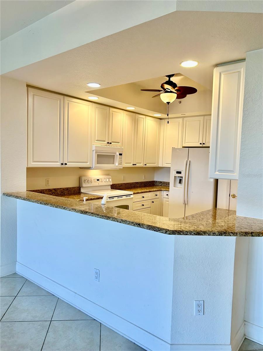 261 MINORCA BEACH WAY #203, NEW SMYRNA BEACH, FL, 32169