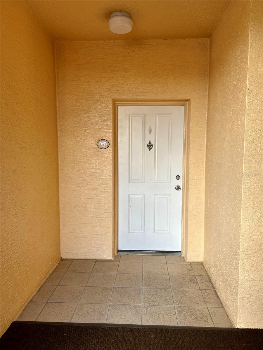 261 MINORCA BEACH WAY #203, NEW SMYRNA BEACH, FL, 32169