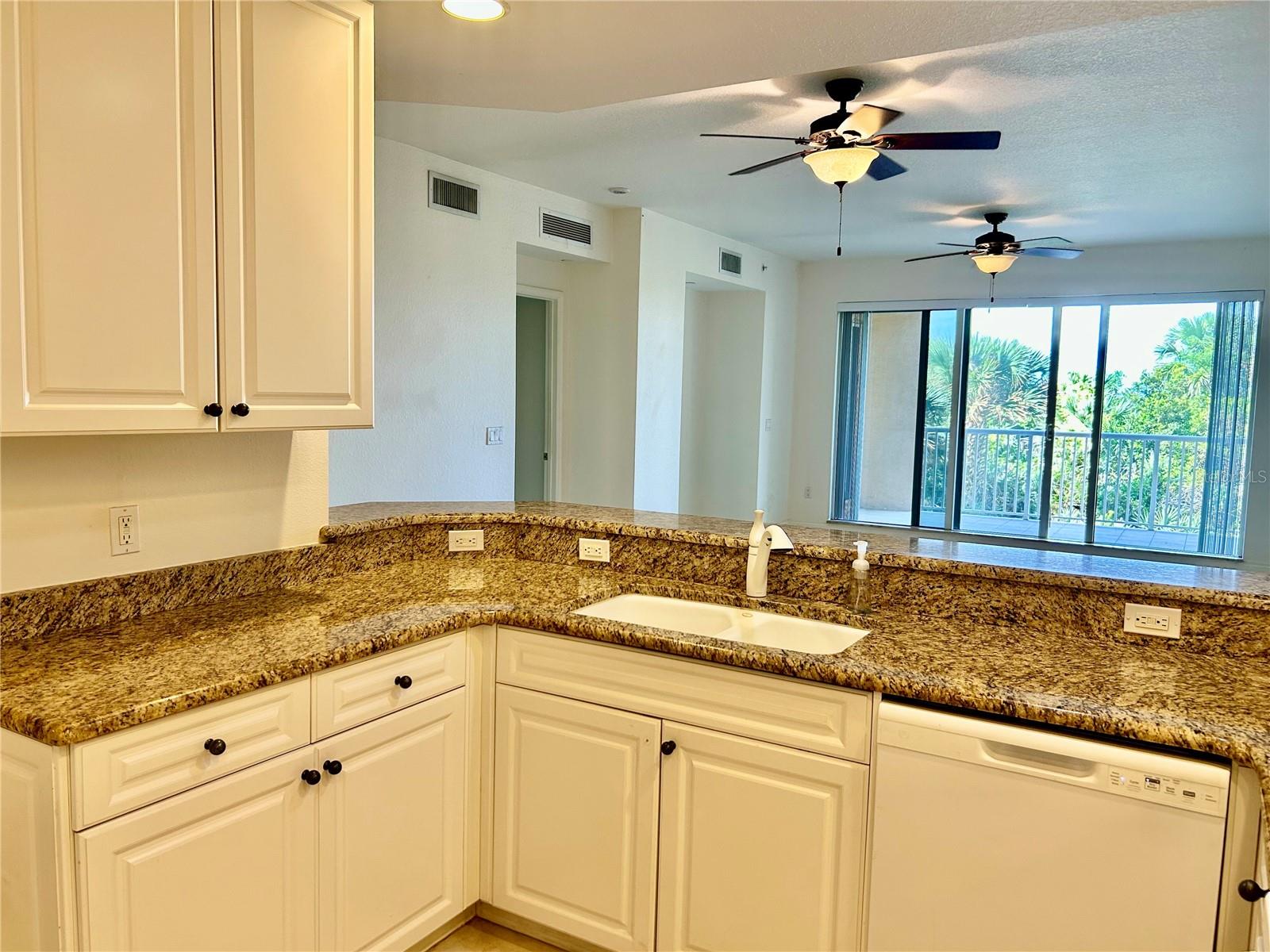 261 MINORCA BEACH WAY #203, NEW SMYRNA BEACH, FL, 32169