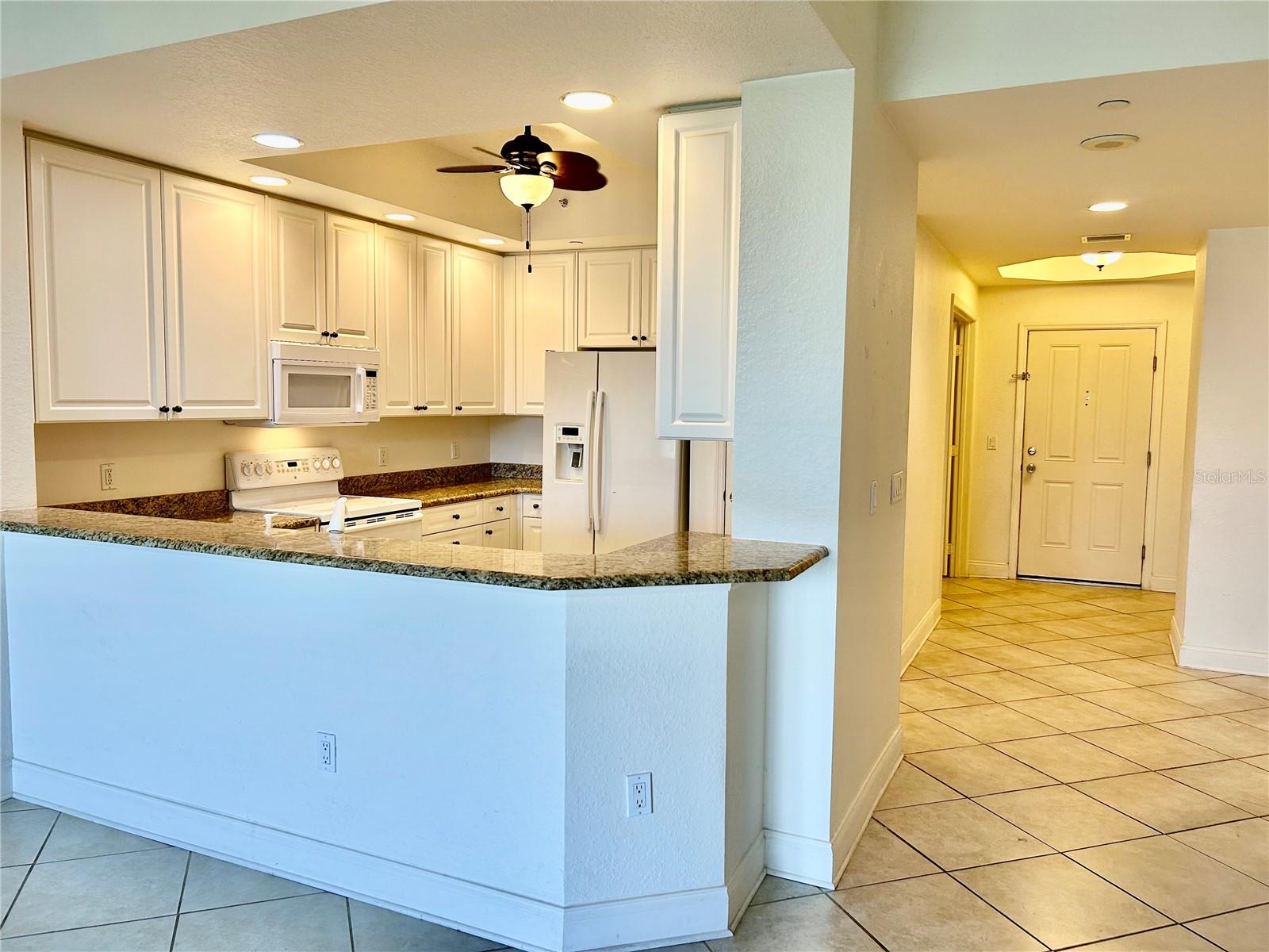 261 MINORCA BEACH WAY #203, NEW SMYRNA BEACH, FL, 32169