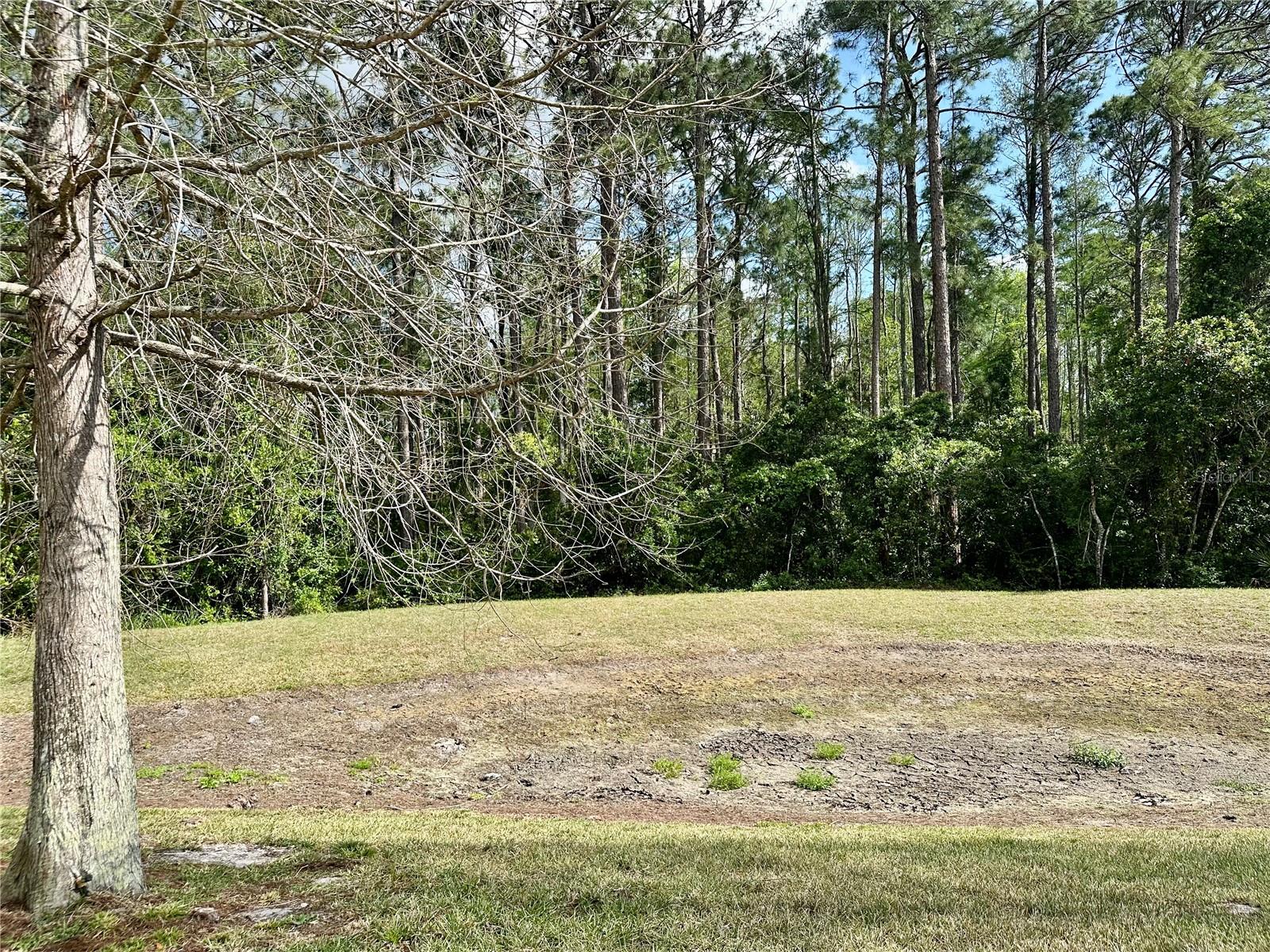 13824 ROYSTON BND, HUDSON, FL, 34669