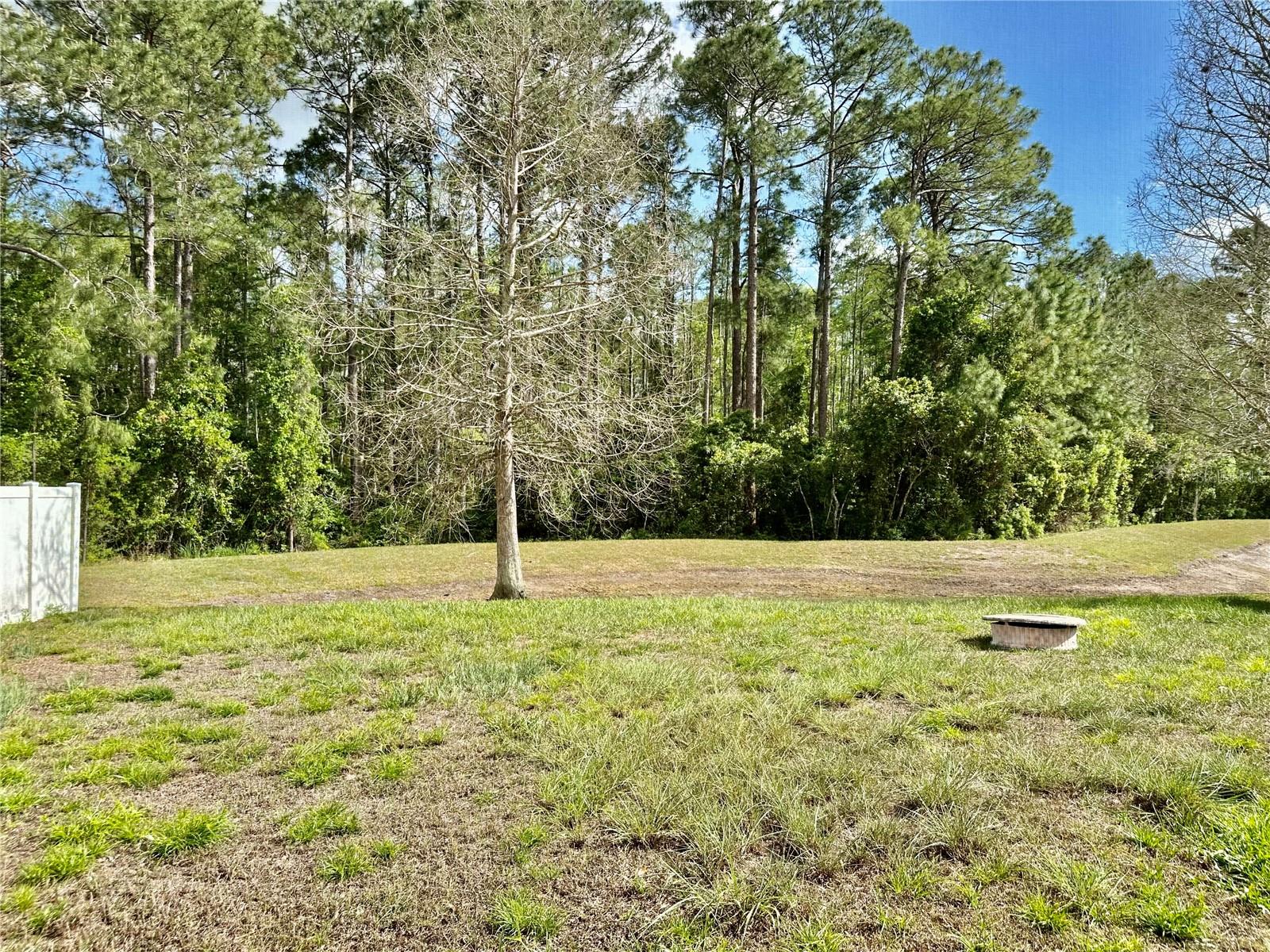 13824 ROYSTON BND, HUDSON, FL, 34669