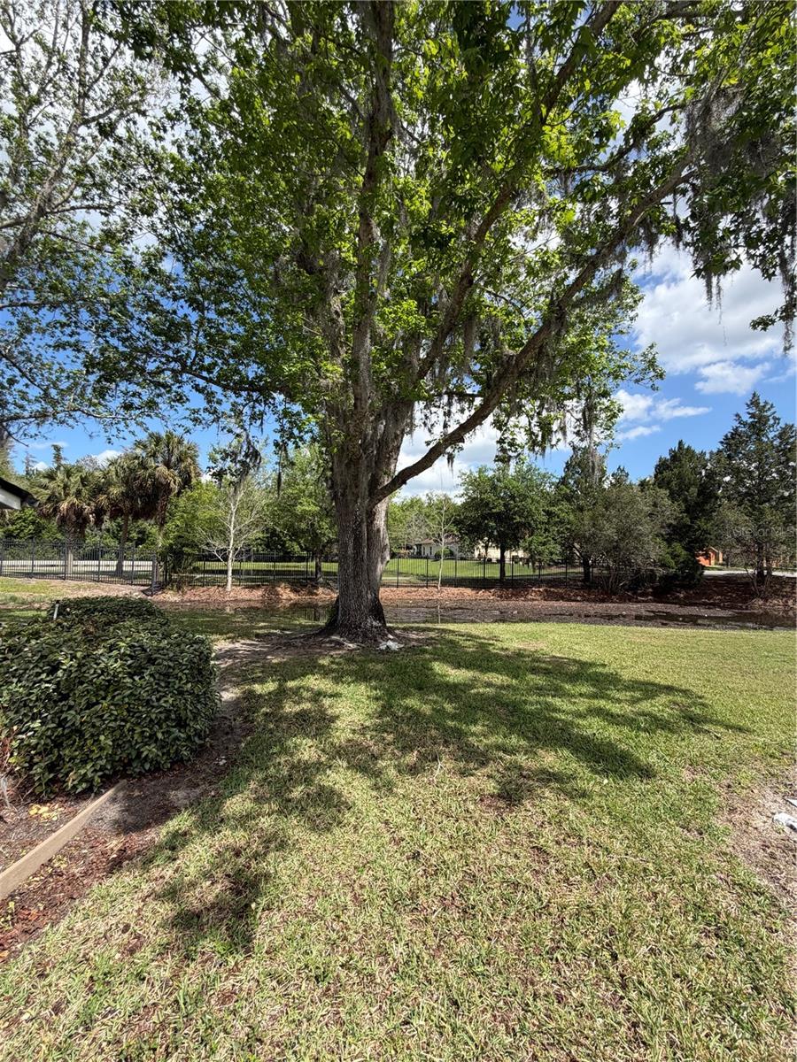 441 PRESTWICK PL, KISSIMMEE, FL, 34759