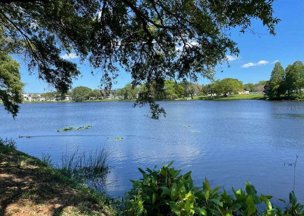 2624 12TH ST N #3, ST PETERSBURG, FL, 33704