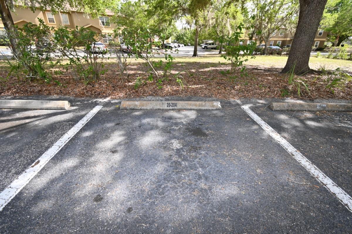 36015 DEER CREEK DR #202, ZEPHYRHILLS, FL, 33541