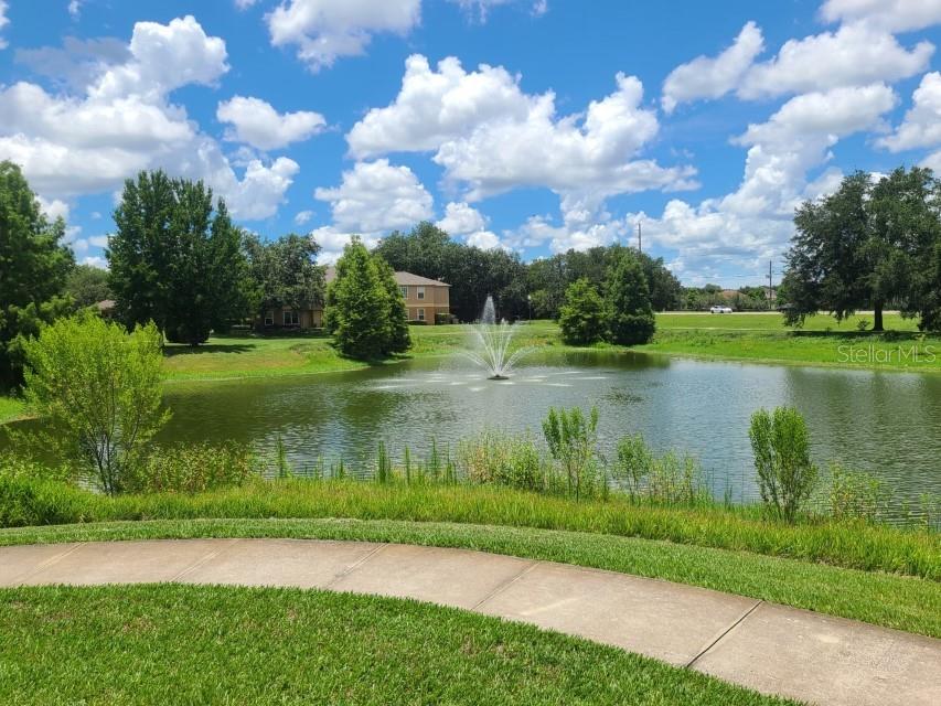 36015 DEER CREEK DR #202, ZEPHYRHILLS, FL, 33541