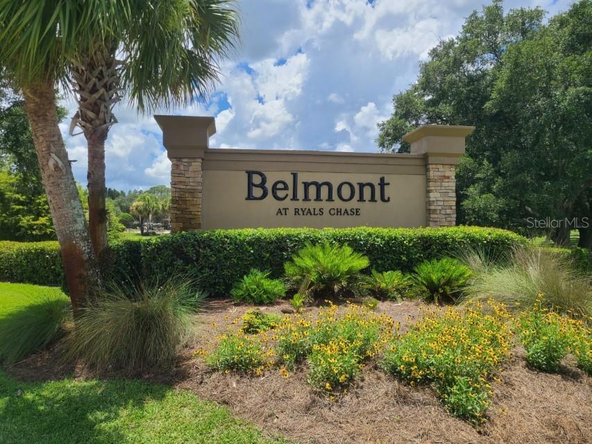 36015 DEER CREEK DR #202, ZEPHYRHILLS, FL, 33541