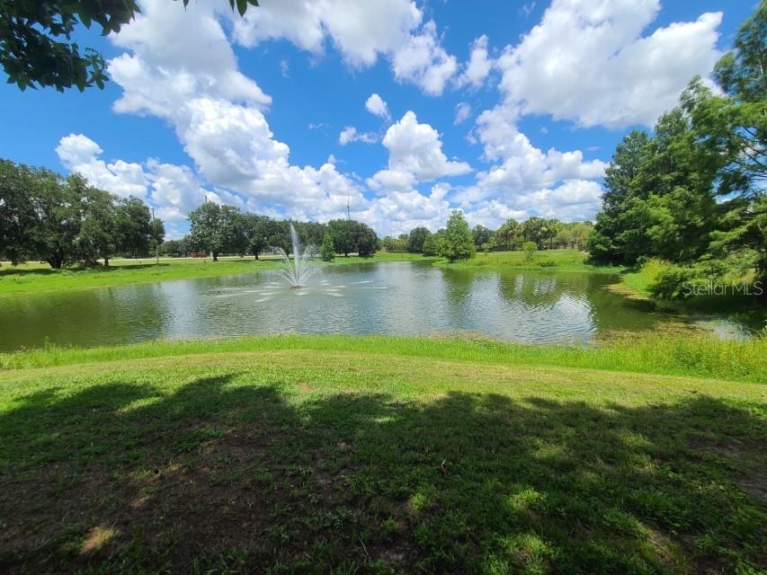 36015 DEER CREEK DR #202, ZEPHYRHILLS, FL, 33541