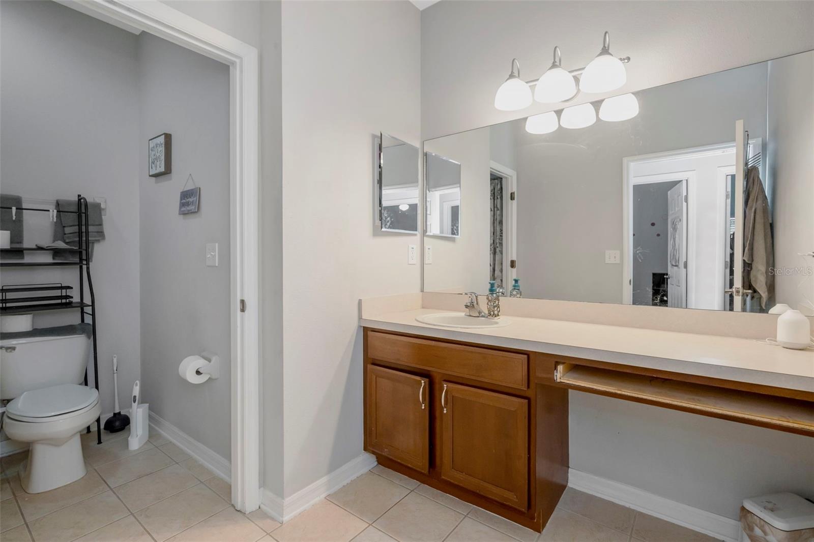 6245 DESERT PEACE AVE, LAND O LAKES, FL, 34639