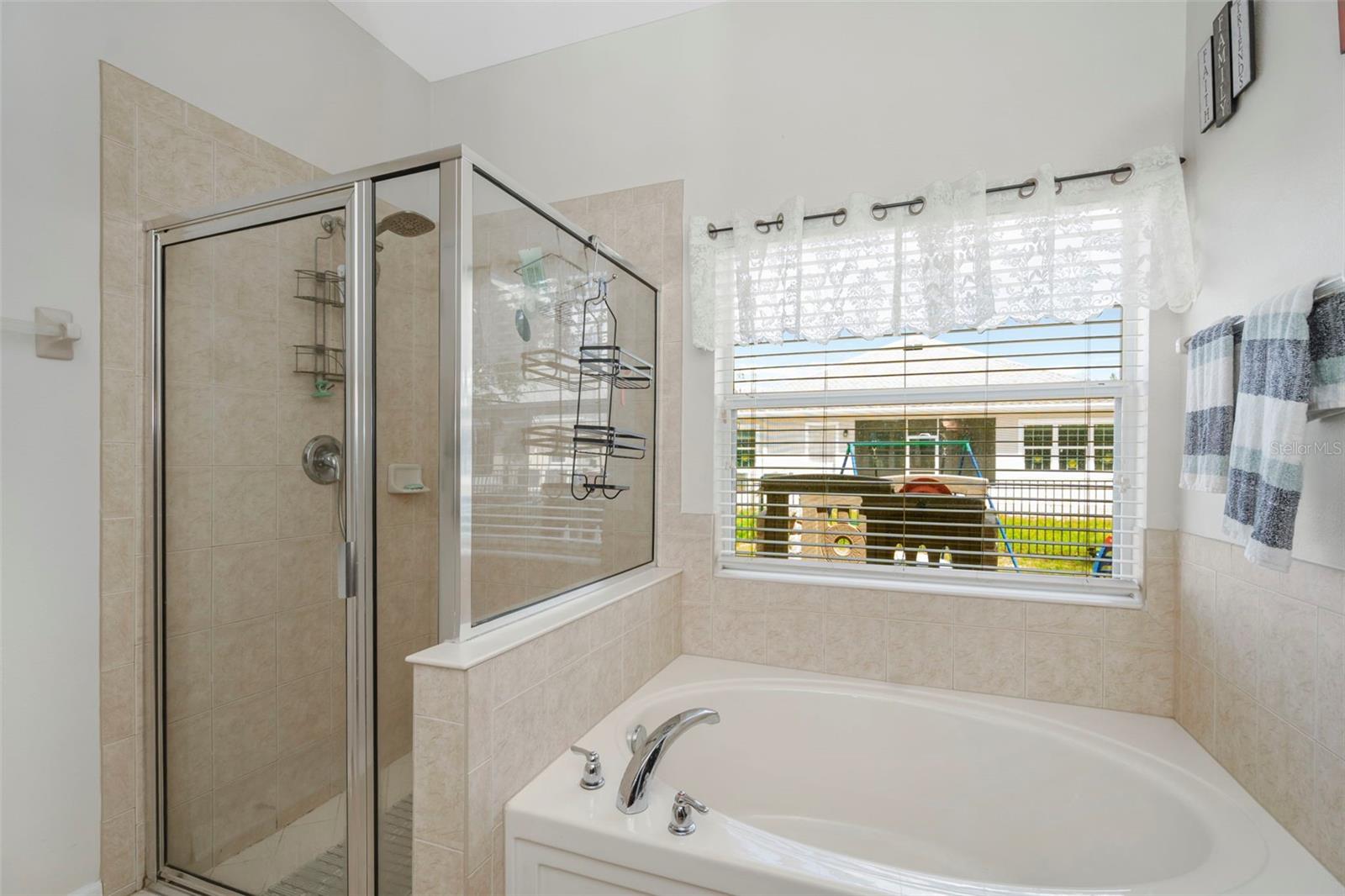 6245 DESERT PEACE AVE, LAND O LAKES, FL, 34639