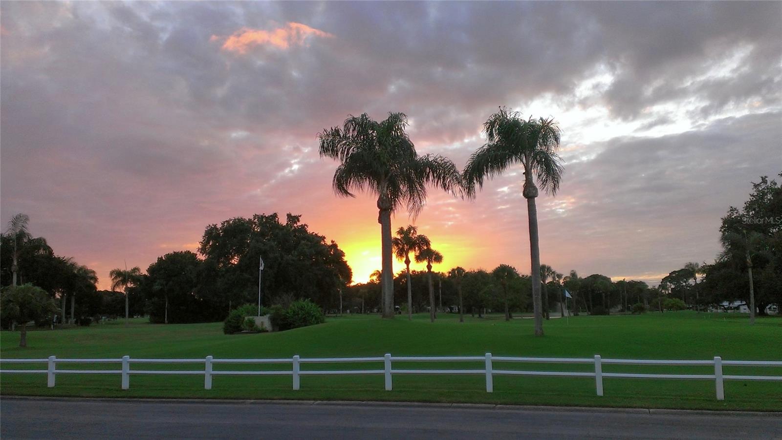 1100 BELCHER RD S #260, LARGO, FL, 33771