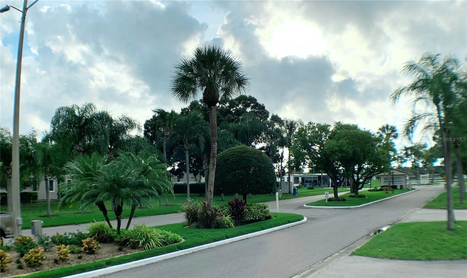 1100 BELCHER RD S #260, LARGO, FL, 33771