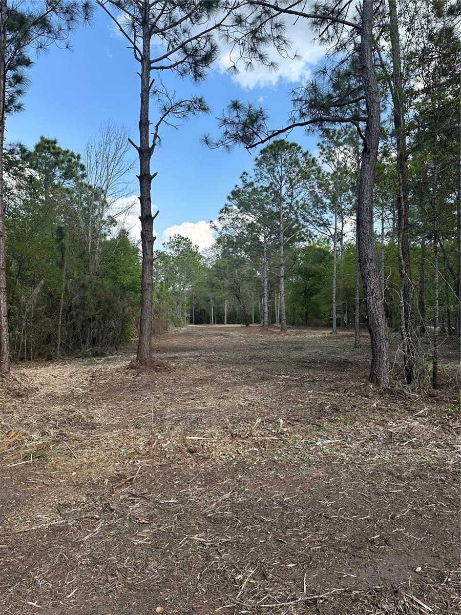 COMMONWEALTH AVE N, POLK CITY, FL, 33868