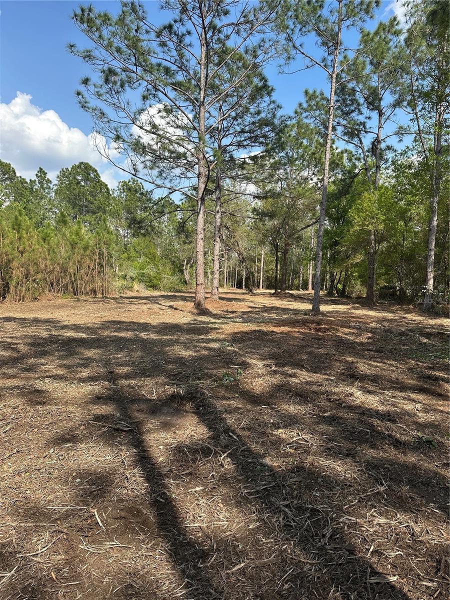 COMMONWEALTH AVE N, POLK CITY, FL, 33868