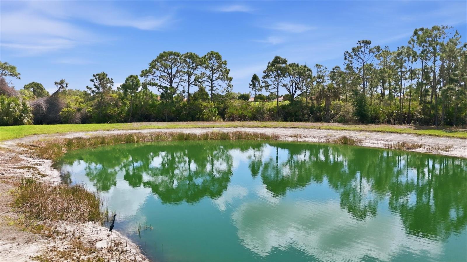 10441 CROOKED CREEK DR, VENICE, FL, 34293