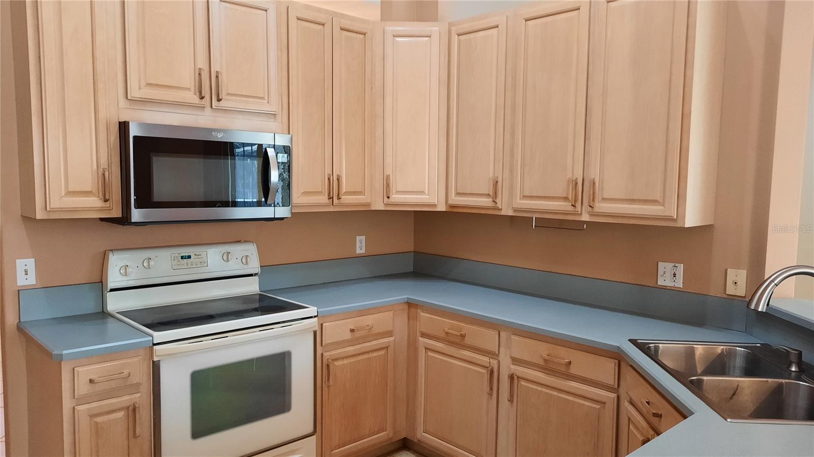 58 BURNING BUSH DR, PALM COAST, FL, 32137