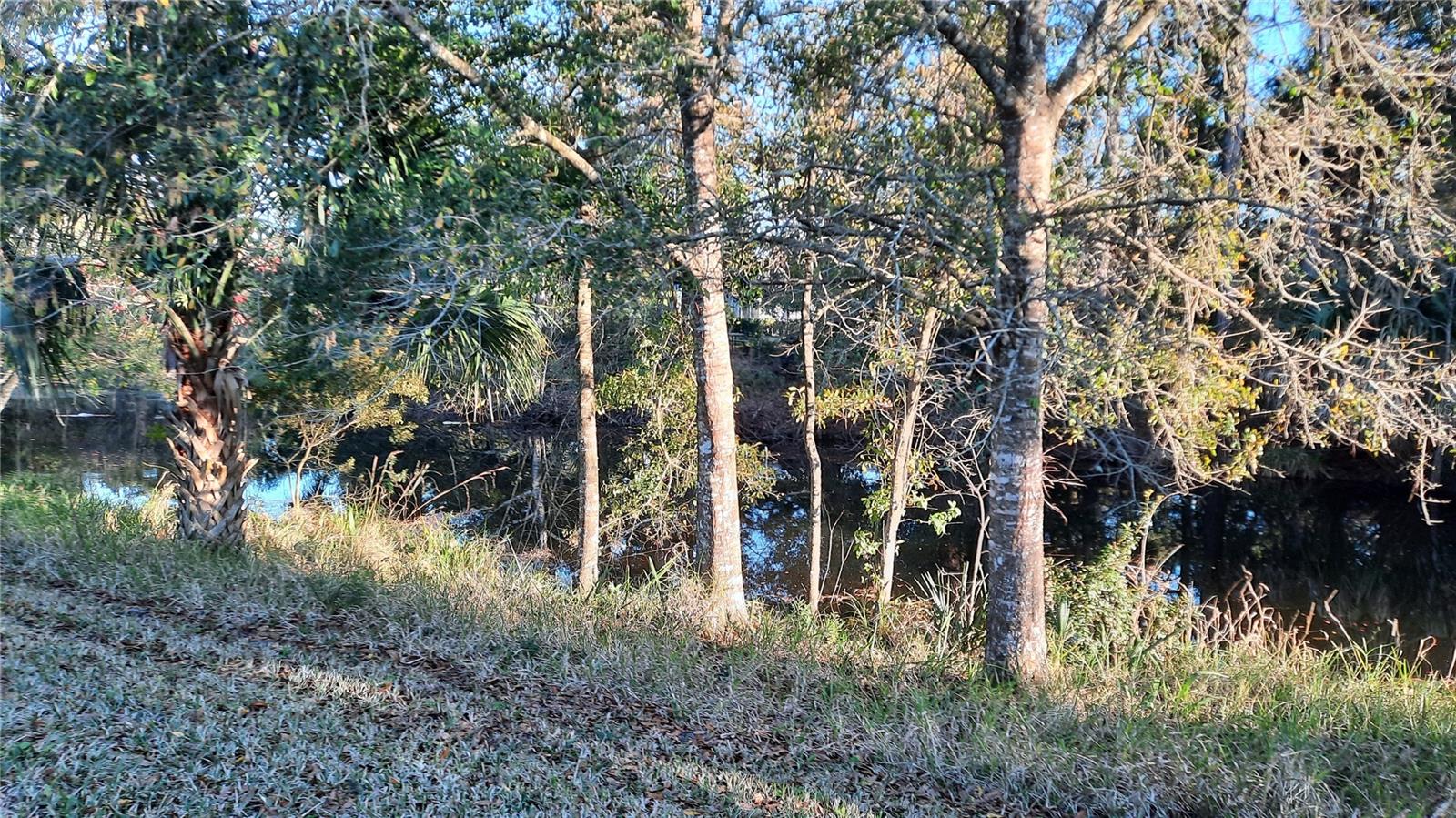 58 BURNING BUSH DR, PALM COAST, FL, 32137
