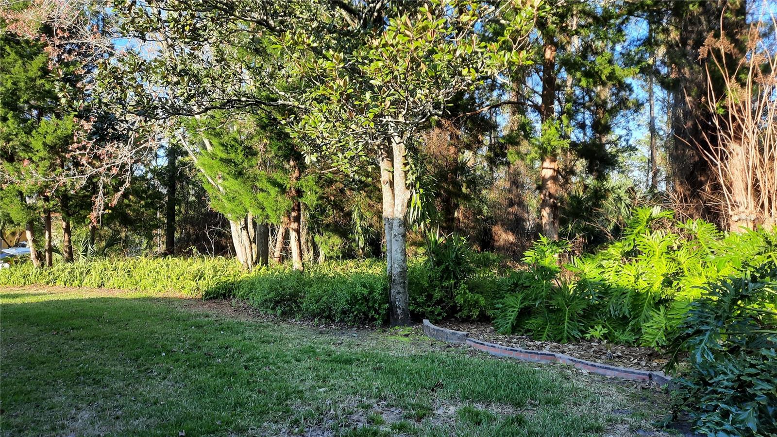 58 BURNING BUSH DR, PALM COAST, FL, 32137
