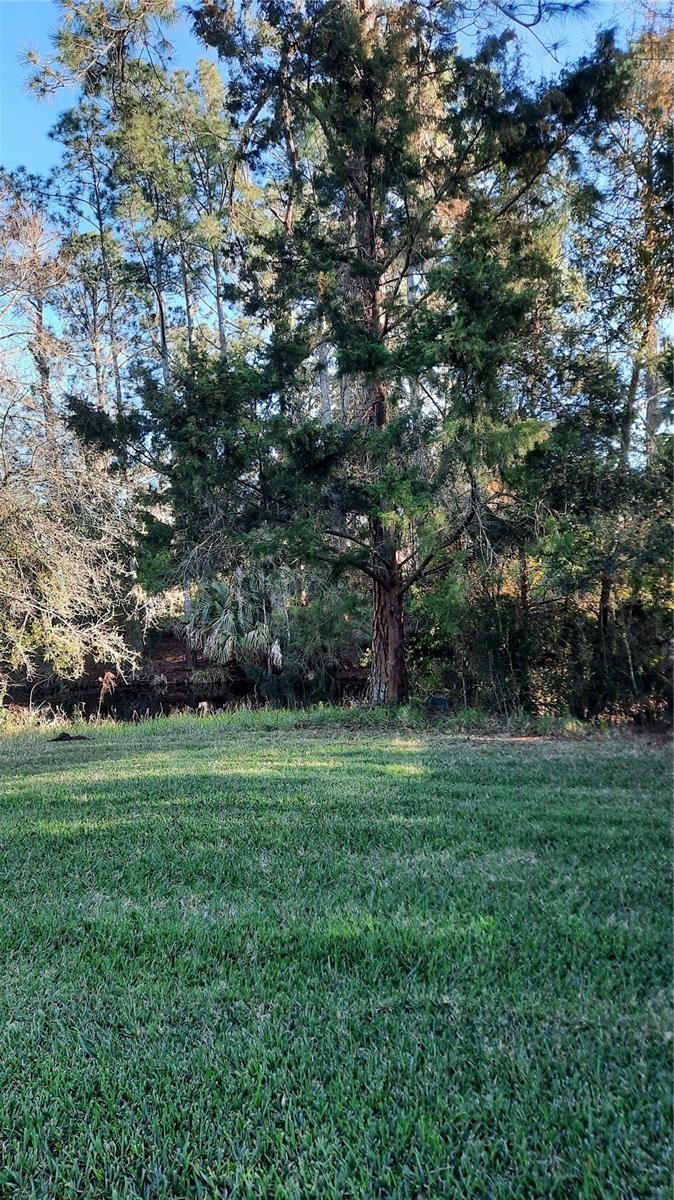 58 BURNING BUSH DR, PALM COAST, FL, 32137