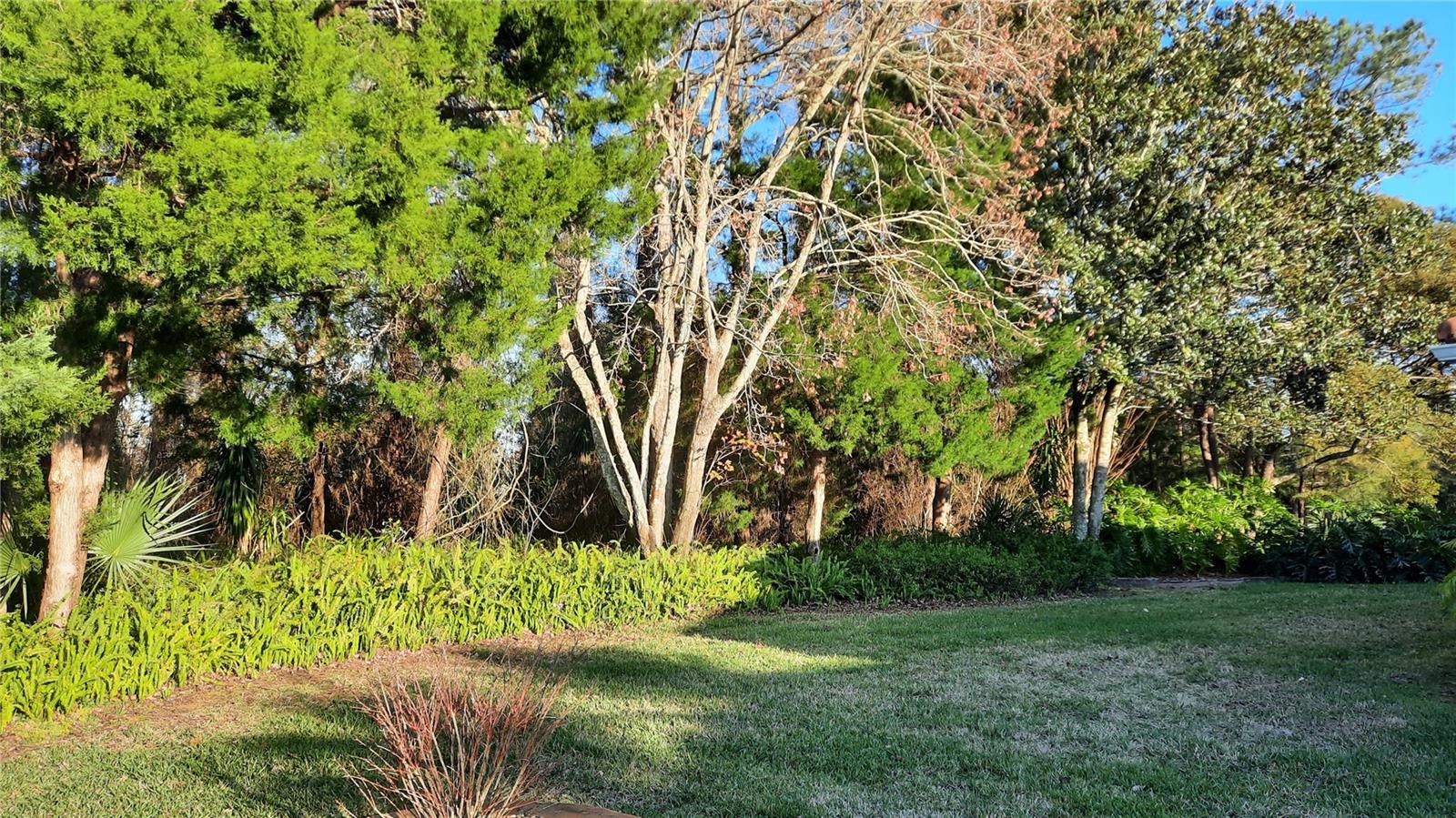 58 BURNING BUSH DR, PALM COAST, FL, 32137
