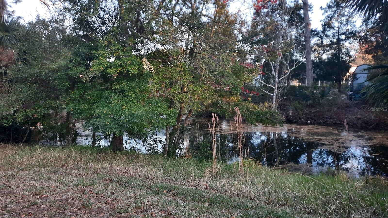 58 BURNING BUSH DR, PALM COAST, FL, 32137