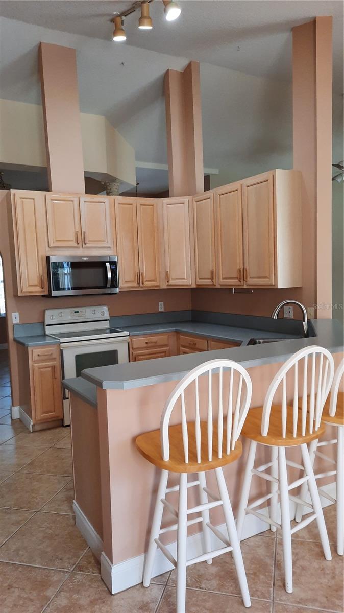 58 BURNING BUSH DR, PALM COAST, FL, 32137
