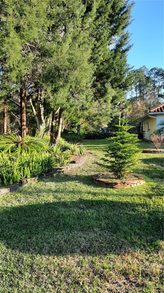 58 BURNING BUSH DR, PALM COAST, FL, 32137