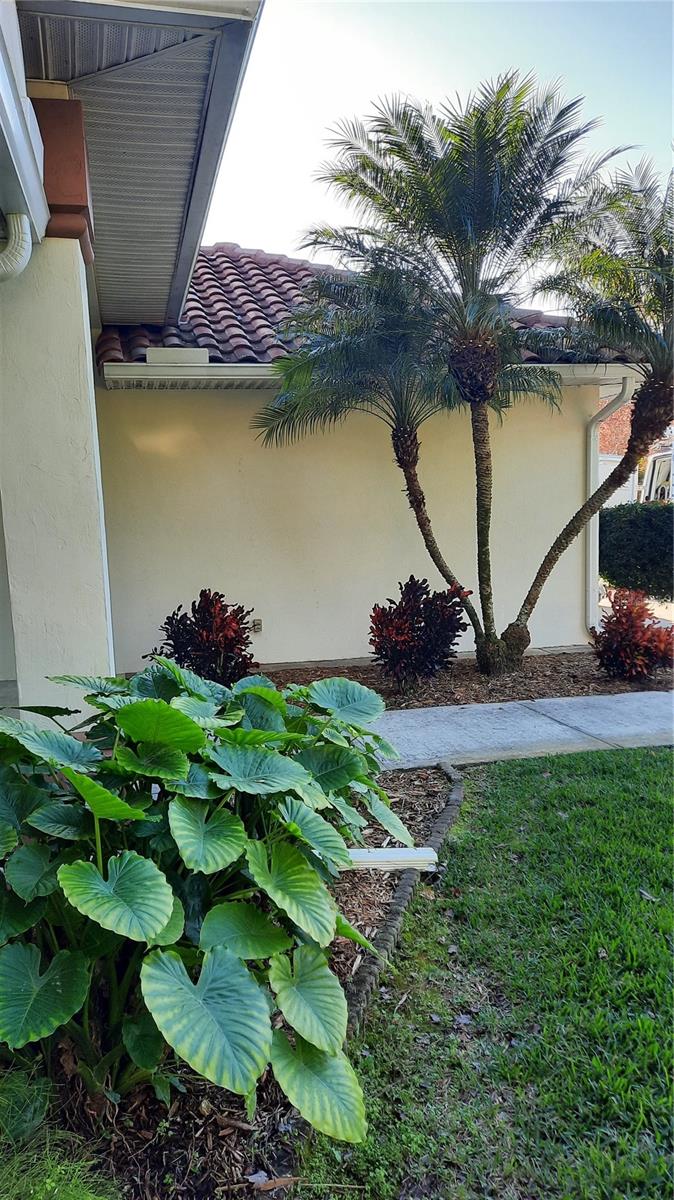 58 BURNING BUSH DR, PALM COAST, FL, 32137