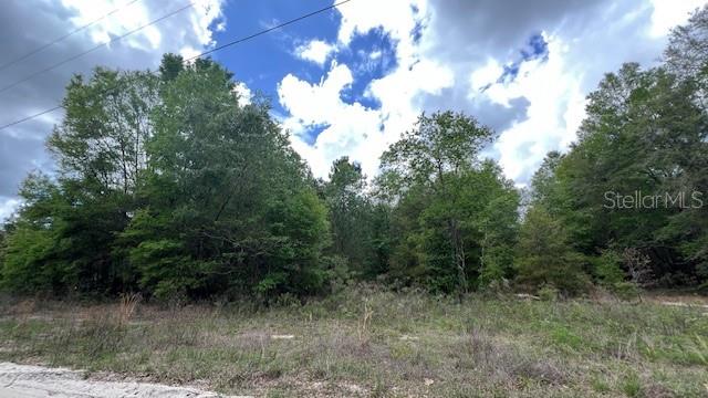 3320 SW 157TH TER, ARCHER, FL, 32618