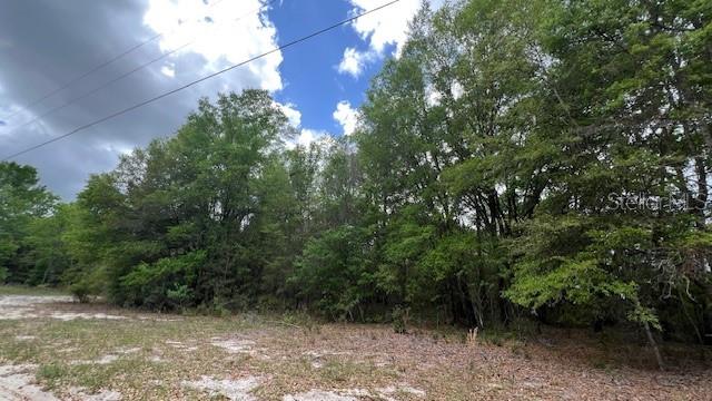 3320 SW 157TH TER, ARCHER, FL, 32618