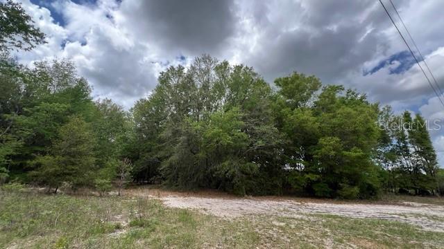 3320 SW 157TH TER, ARCHER, FL, 32618