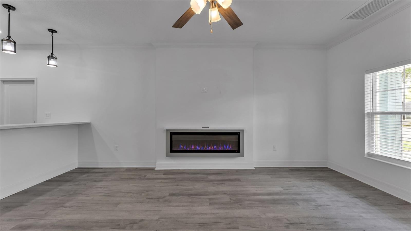 1315 E FRANCES AVE, PLANT CITY, FL, 33563