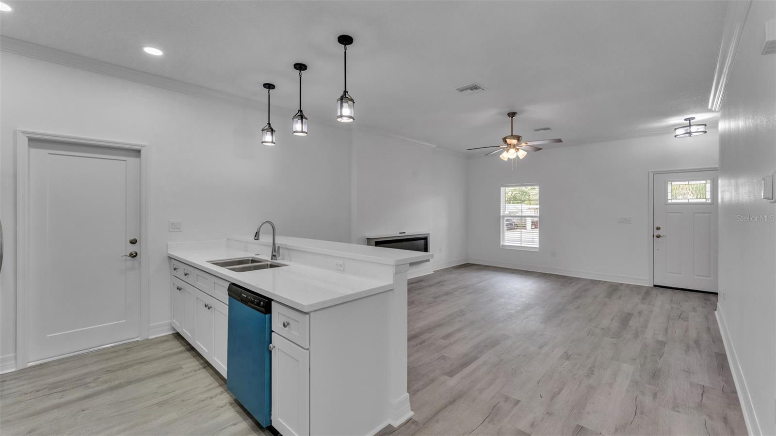 1315 E FRANCES AVE, PLANT CITY, FL, 33563