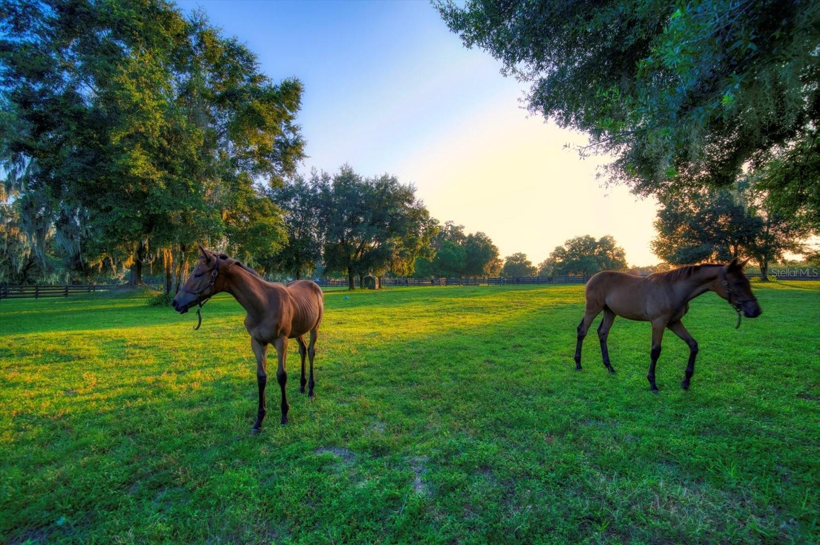 7650 N WHIPPOORWILL TER, HERNANDO, FL, 34442